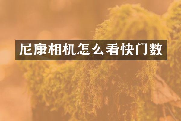 尼康相机怎么看快门数