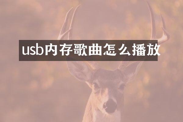 usb内存歌曲怎么播放