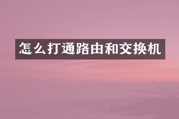 怎么打通路由和交换机