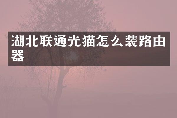 湖北联通光猫怎么装路由器