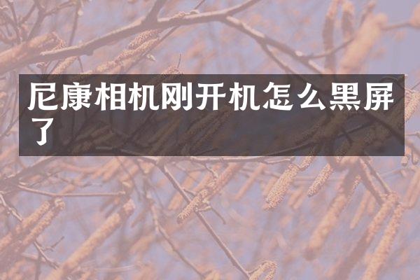 尼康相机刚开机怎么黑屏了