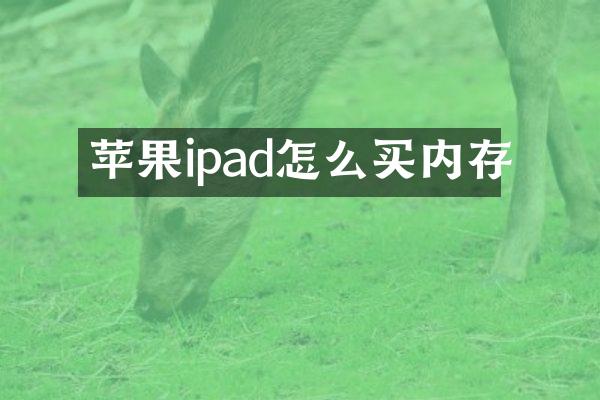 苹果ipad怎么买内存
