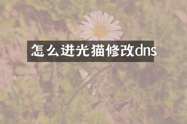 怎么进光猫修改dns