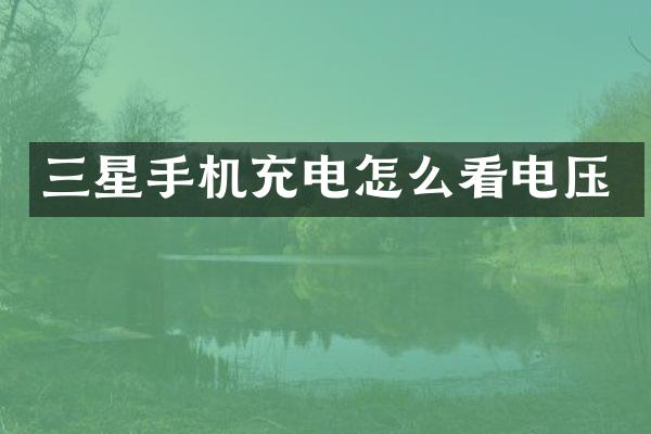 三星手机充电怎么看电压