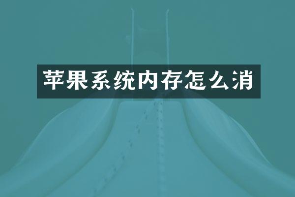 苹果系统内存怎么消