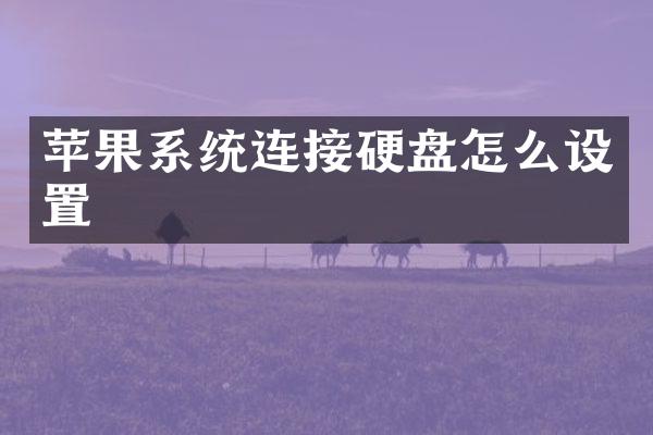 苹果系统连接硬盘怎么设置