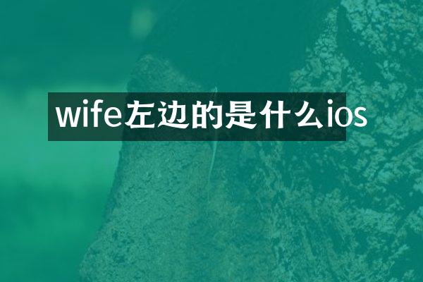 wife左边的是什么ios