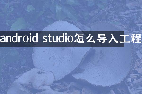 android studio怎么导入工程