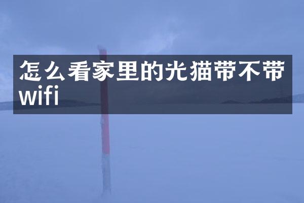 怎么看家里的光猫带不带wifi