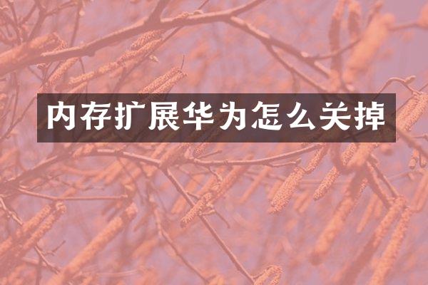内存扩展华为怎么关掉