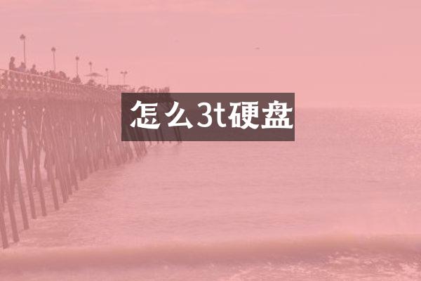 怎么3t硬盘