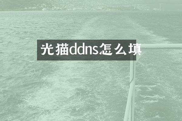 光猫ddns怎么填