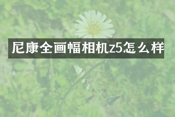尼康全画幅相机z5怎么样