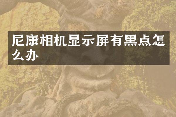尼康相机显示屏有黑点怎么办