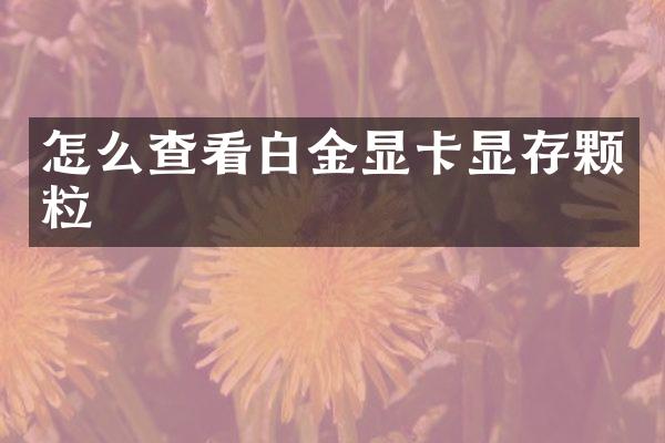 怎么查看白金显卡显存颗粒