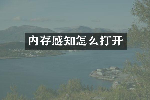 内存感知怎么打开