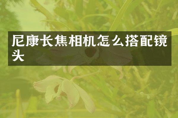 尼康长焦相机怎么搭配镜头