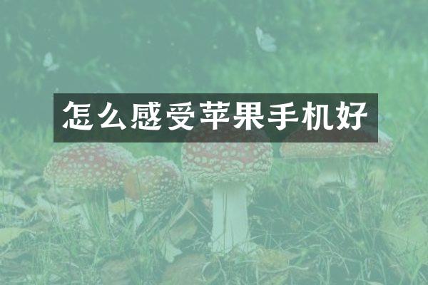 怎么感受苹果手机好