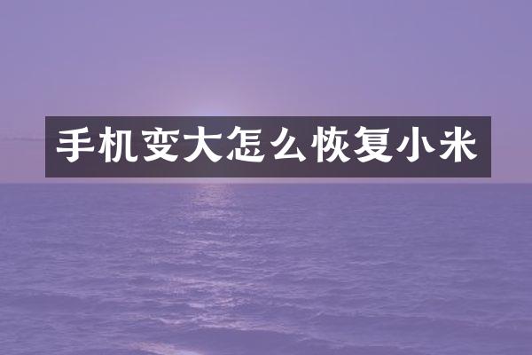 手机变大怎么恢复小米