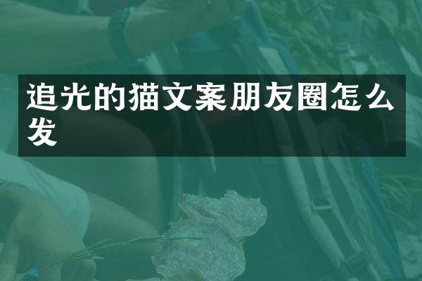 追光的猫文案朋友圈怎么发