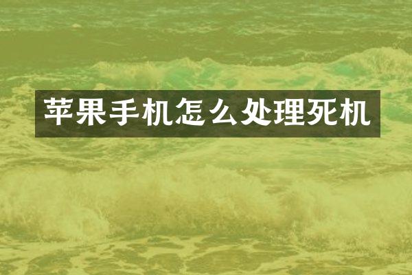 苹果手机怎么处理死机