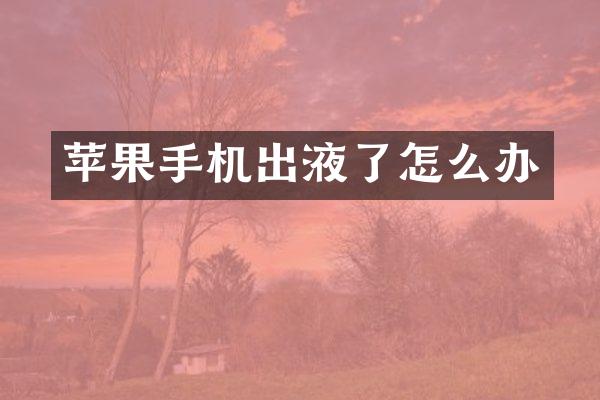 苹果手机出液了怎么办