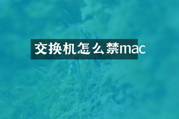 交换机怎么禁mac