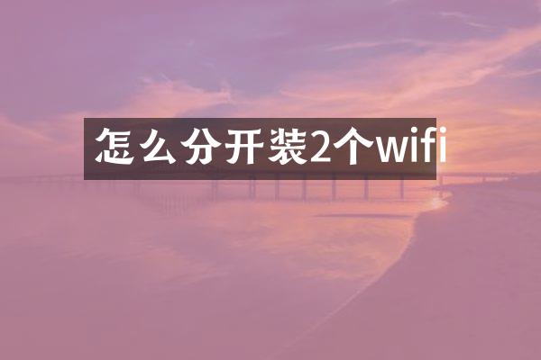怎么分开装2个wifi