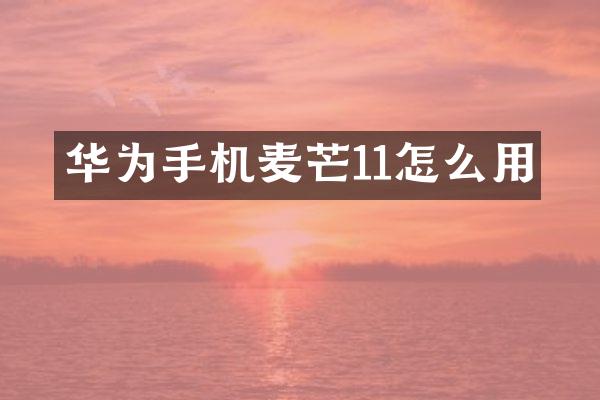 华为手机麦芒11怎么用