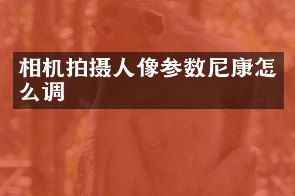 相机拍摄人像参数尼康怎么调