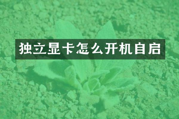 独立显卡怎么开机自启