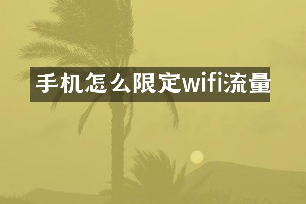手机怎么限定wifi流量