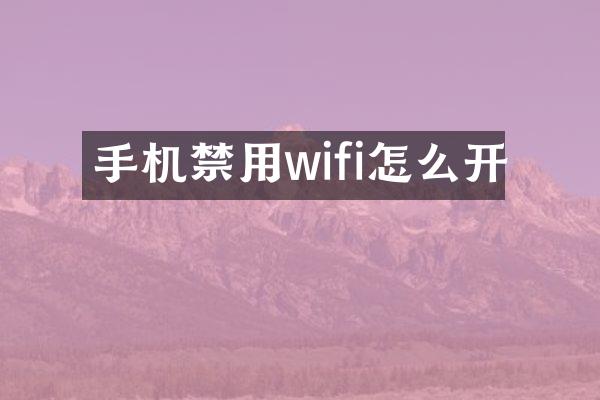 手机禁用wifi怎么开