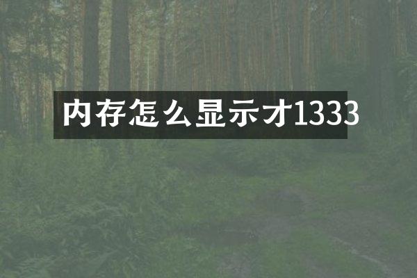 内存怎么显示才1333