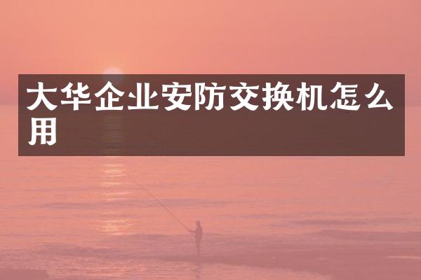大华企业安防交换机怎么用