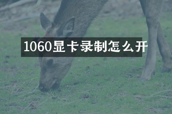 1060显卡录制怎么开