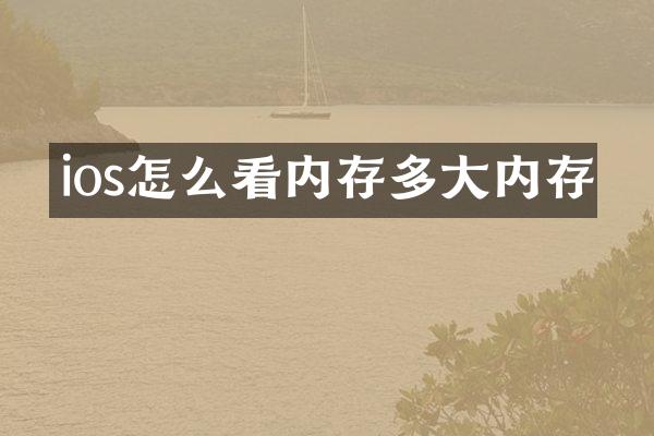 ios怎么看内存多大内存