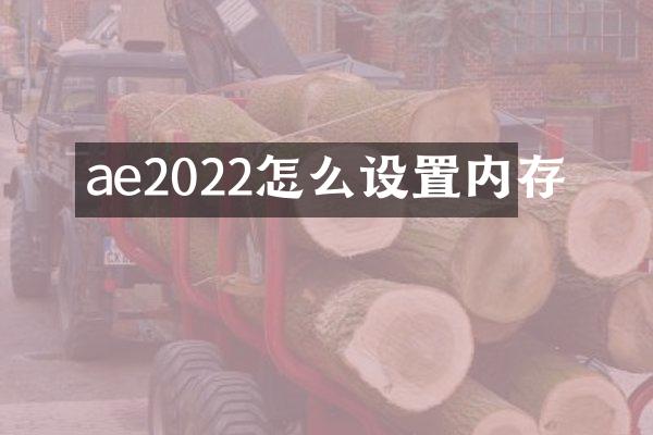 ae2022怎么设置内存