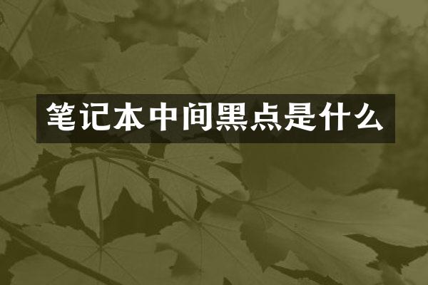 笔记本中间黑点是什么