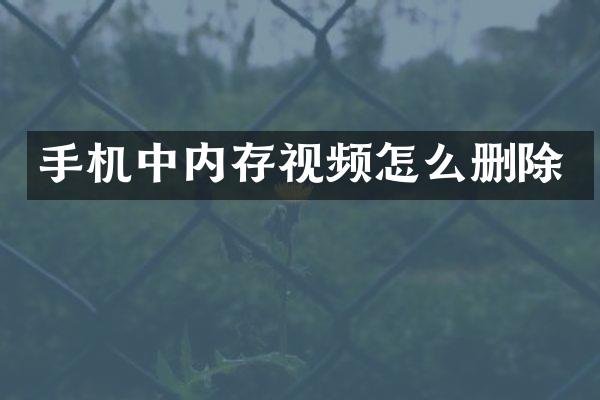 手机中内存视频怎么删除