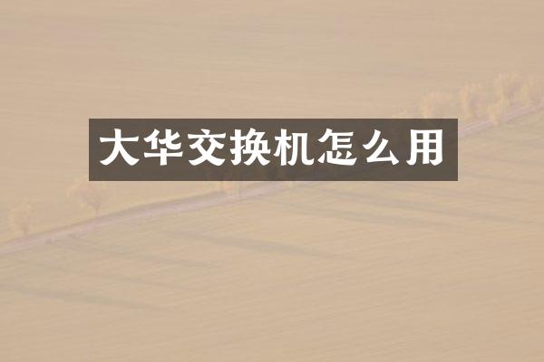 大华交换机怎么用