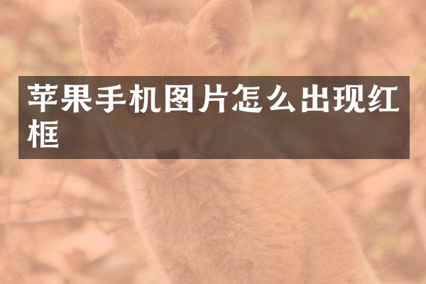 苹果手机图片怎么出现红框