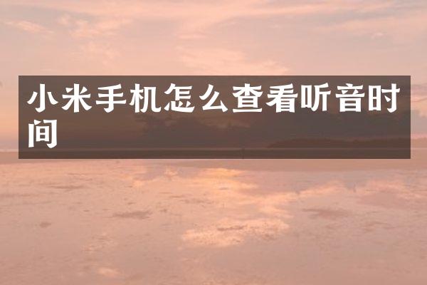 小米手机怎么查看听音时间