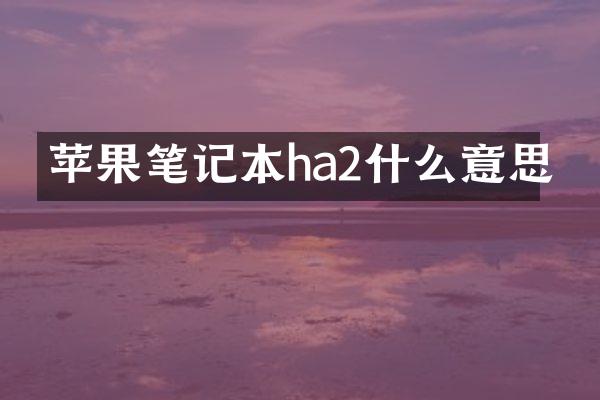 苹果笔记本ha2什么意思