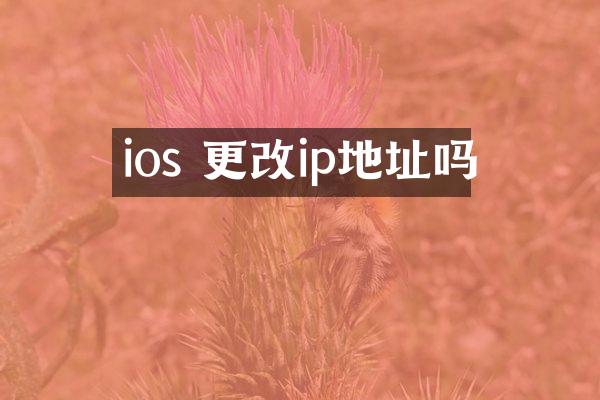 ios 更改ip地址吗