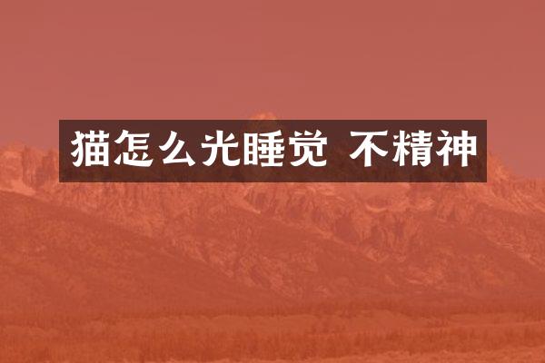 猫怎么光睡觉 不精神