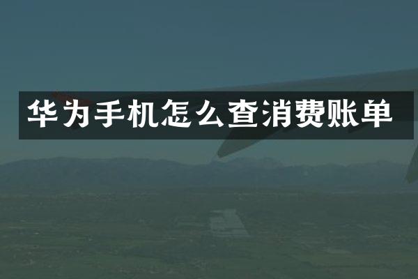 华为手机怎么查消费账单