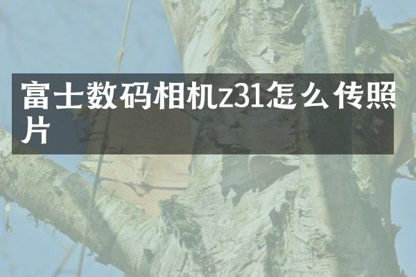 富士数码相机z31怎么传照片
