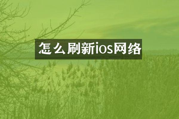 怎么刷新ios网络