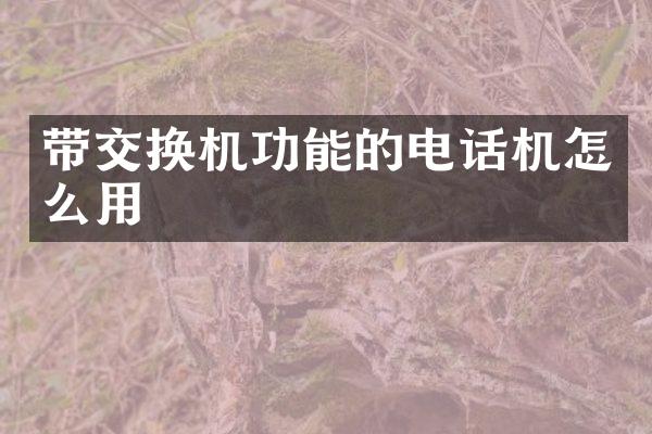 带交换机功能的电话机怎么用